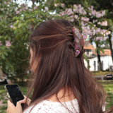 Media Luna en Nebulosa