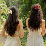 Rose en Begonia